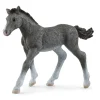 Schleich 13944 trakehner veulen Best