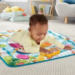 Fisher Price Speelmat voordelig online kopen? Discount