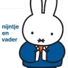 De Grote Speelgoedwinkel Kartonboekje Nijntje En Vader Discount