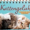 Deltas Kattengeluk - Tafelstaander voordelig online kopen? New