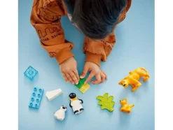 Lego 10442 Duplo Families Van Wilde Dieren: Pinguins En Leeuw Hot