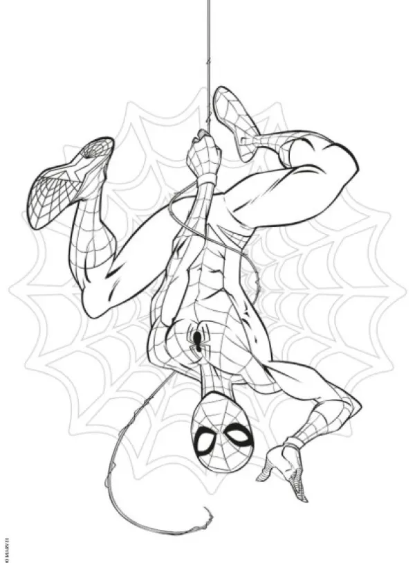 Deltas Marvel Spiderman Color Kleurboek Outlet
