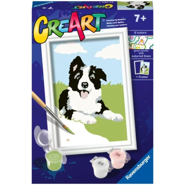 Ravensburger Creart Schilderen Op Nummer Border Collie Best