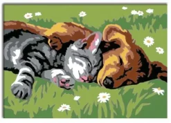 Ravensburger Creart Schilderen Op Nummer Slapende Hond En Poes Hot