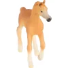 Schleich 13984 Arabisch Veulen Clearance