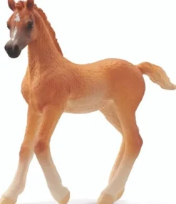 Schleich 13984 Arabisch Veulen Clearance