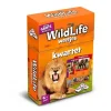 Identity Games Spel Weetjeskwartet Wildlife voordelig online kopen? Clearance