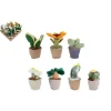 De Grote Speelgoedwinkel Take Me Home Plant Pluche 12-17 Cm Sale